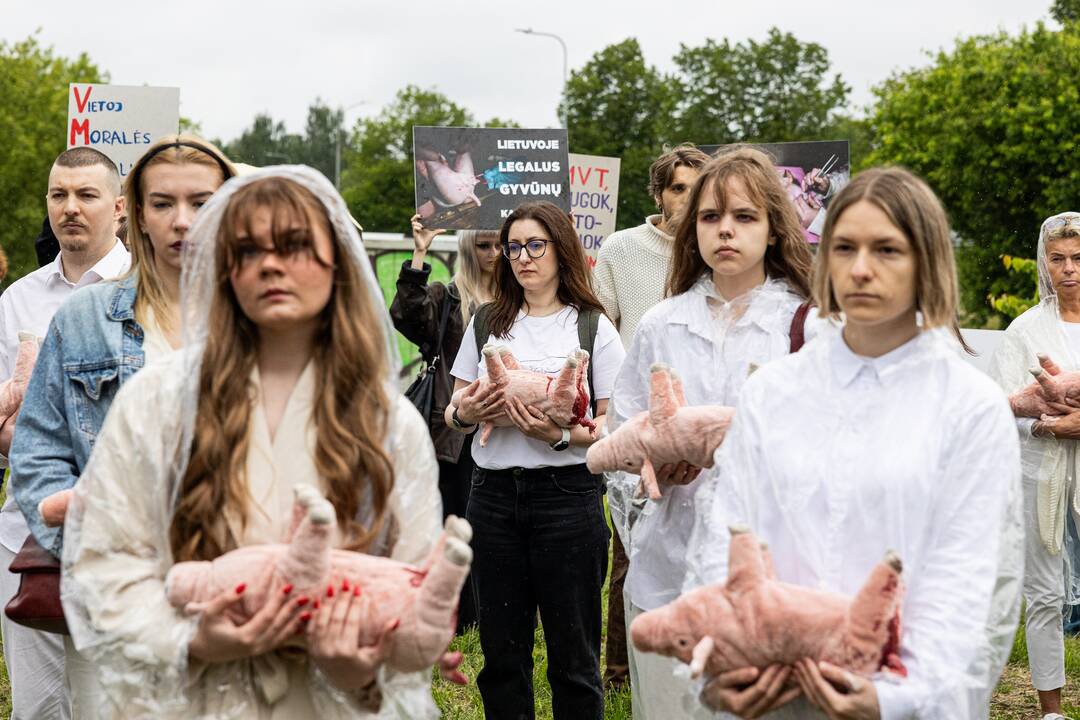 Protestas prie Valstybinės maisto ir veterinarijos tarnybos