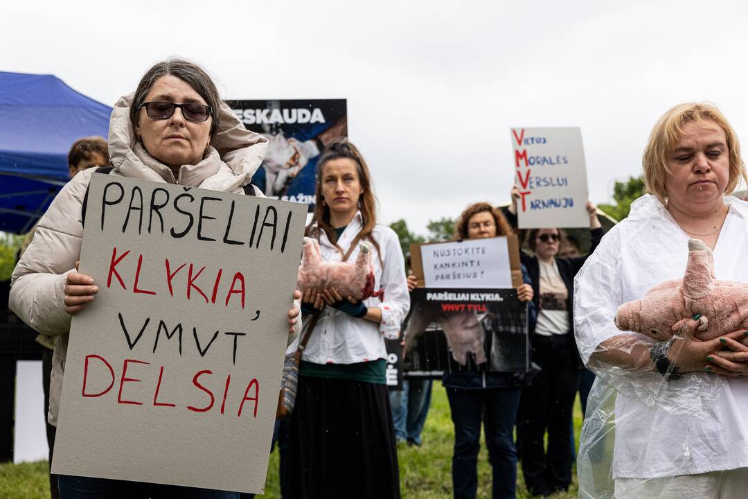 Protestas prie Valstybinės maisto ir veterinarijos tarnybos