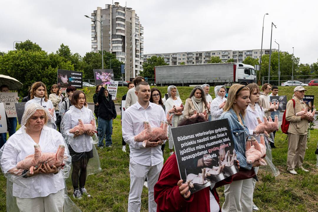Protestas prie Valstybinės maisto ir veterinarijos tarnybos