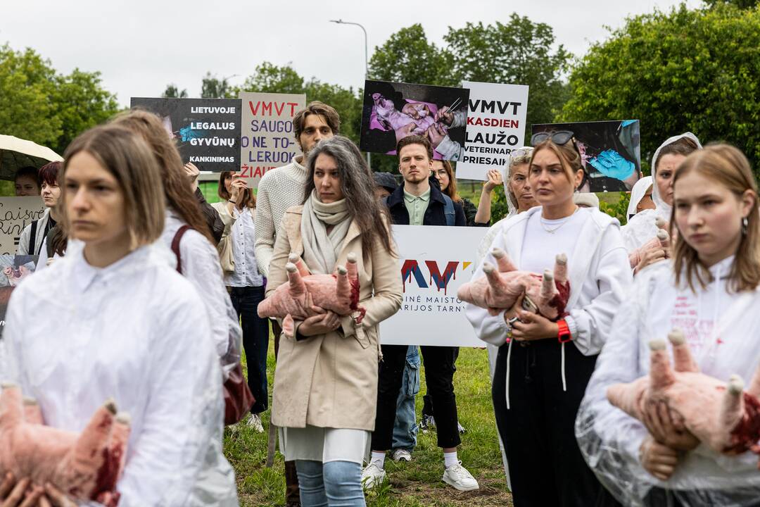 Protestas prie Valstybinės maisto ir veterinarijos tarnybos