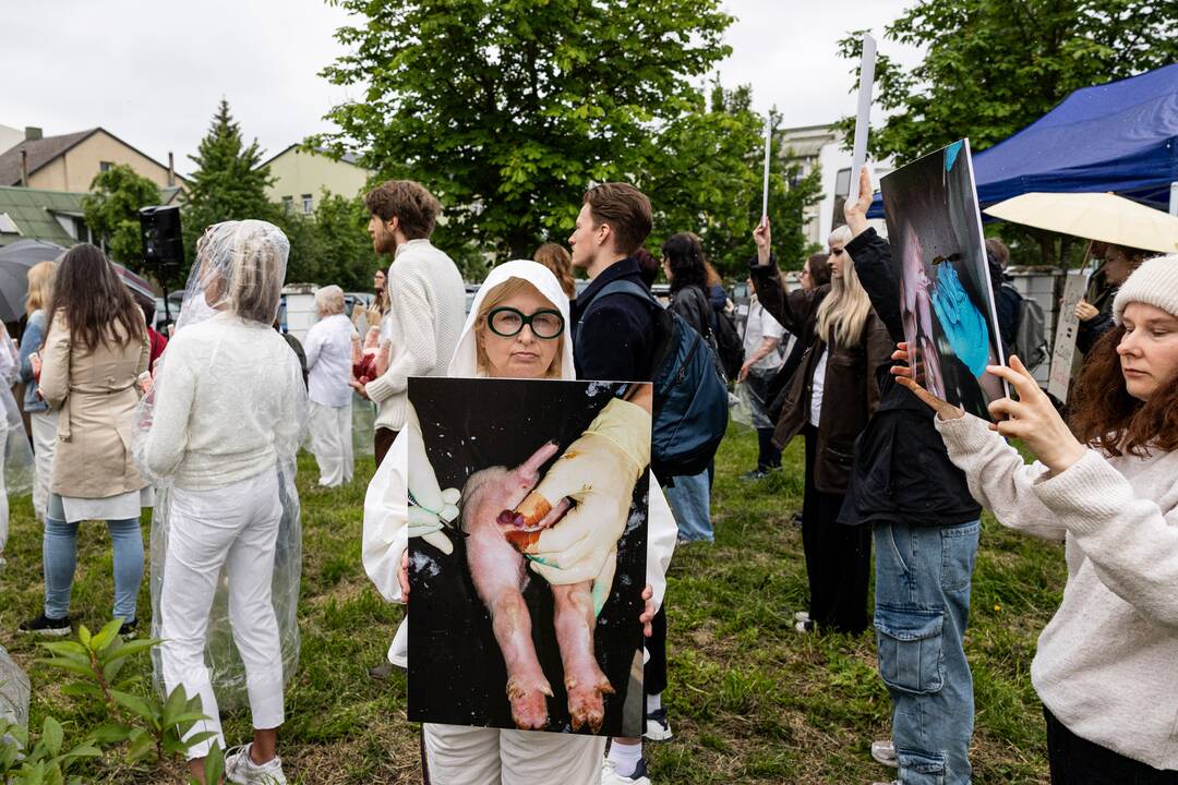 Protestas prie Valstybinės maisto ir veterinarijos tarnybos