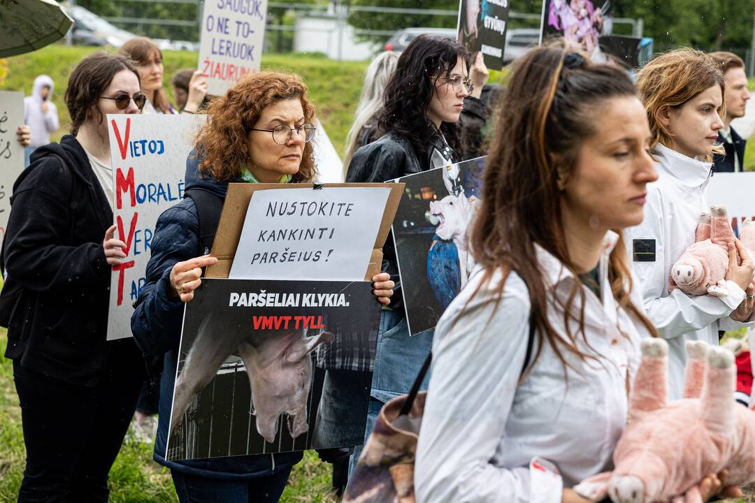 Protestas prie Valstybinės maisto ir veterinarijos tarnybos