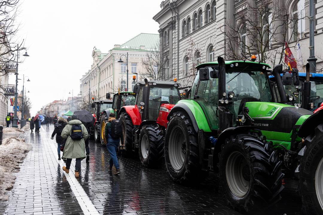 Aplinkosaugininkai premjerės prašys įtraukti juos į ūkininkų problemų sprendimą