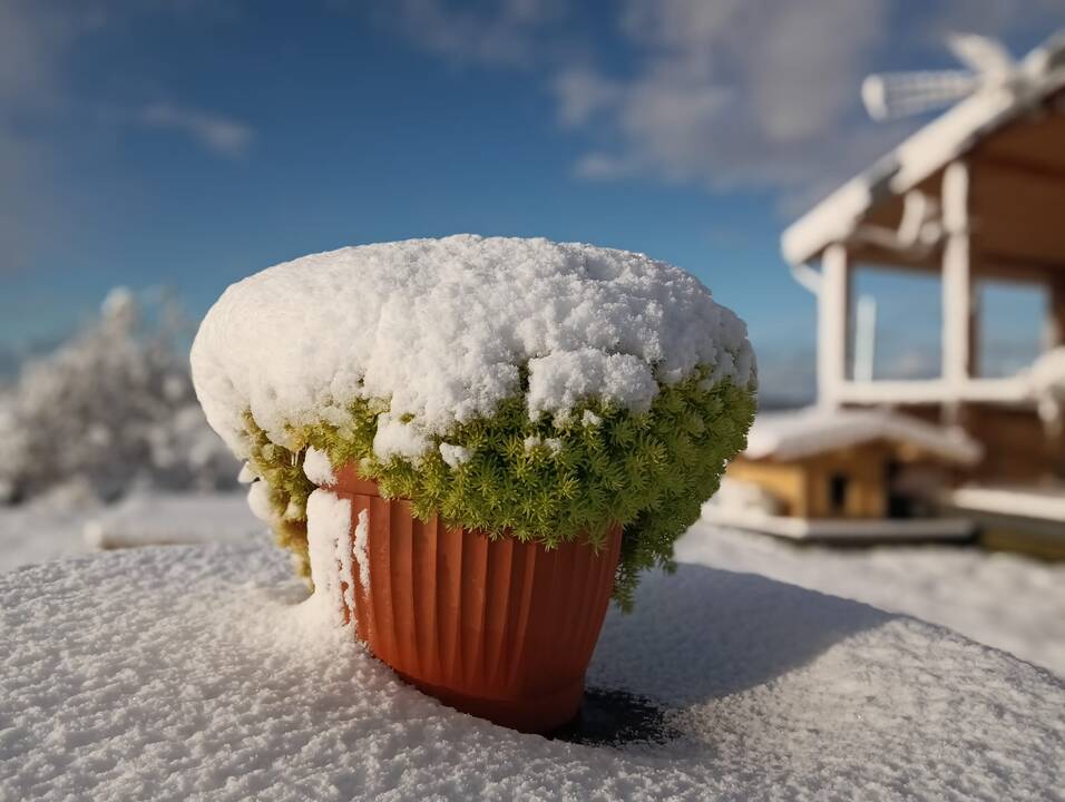 Sniego pusnys Vakarų Lietuvoje