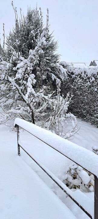 Sniego pusnys Vakarų Lietuvoje
