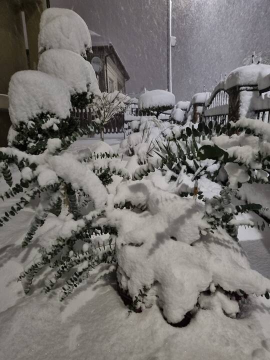 Sniego pusnys Vakarų Lietuvoje