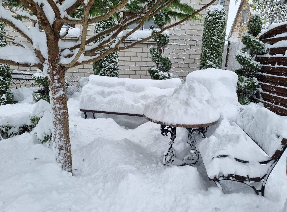 Sniego pusnys Vakarų Lietuvoje