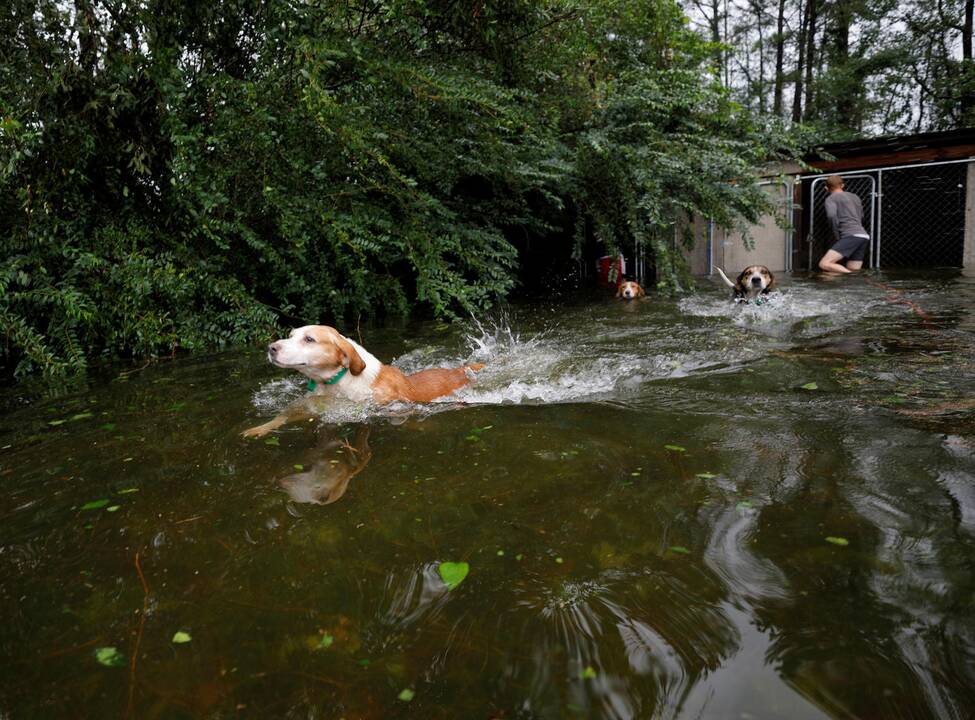 Katastrofiški potvyniai JAV pietryčiuose