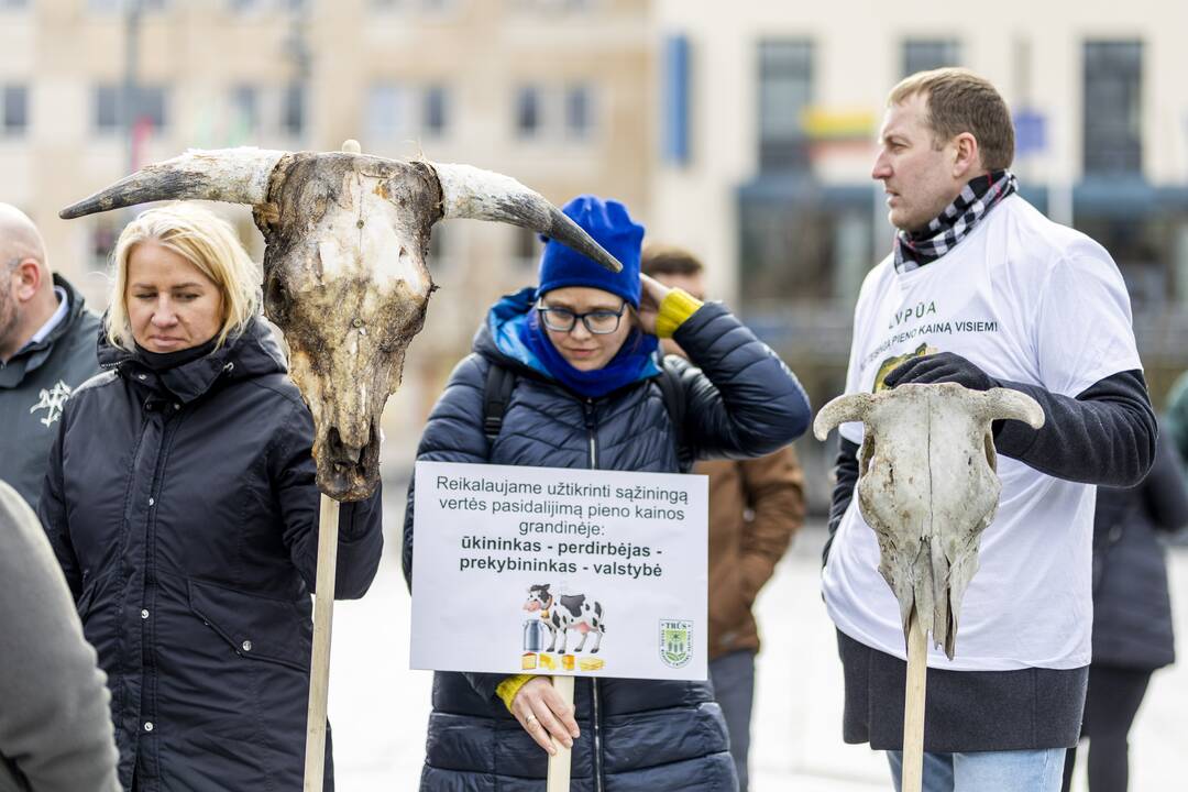 Prie Vyriausybės – ūkininkų protestas dėl pieno supirkimo kainų