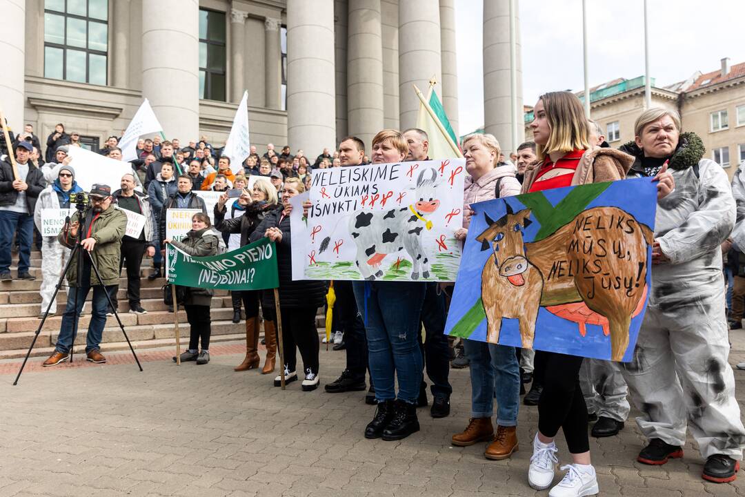 Lietuvos pieno gamintojų mitingas prie Seimo