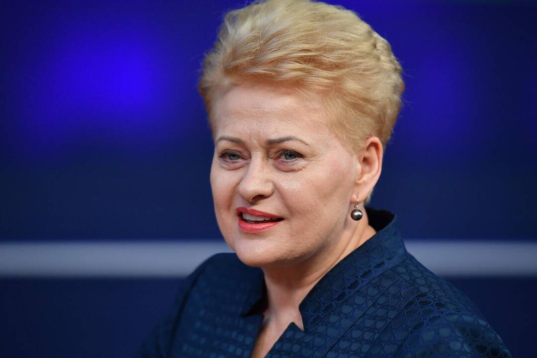 D. Grybauskaitė nekomentuoja pranešimo apie VSD