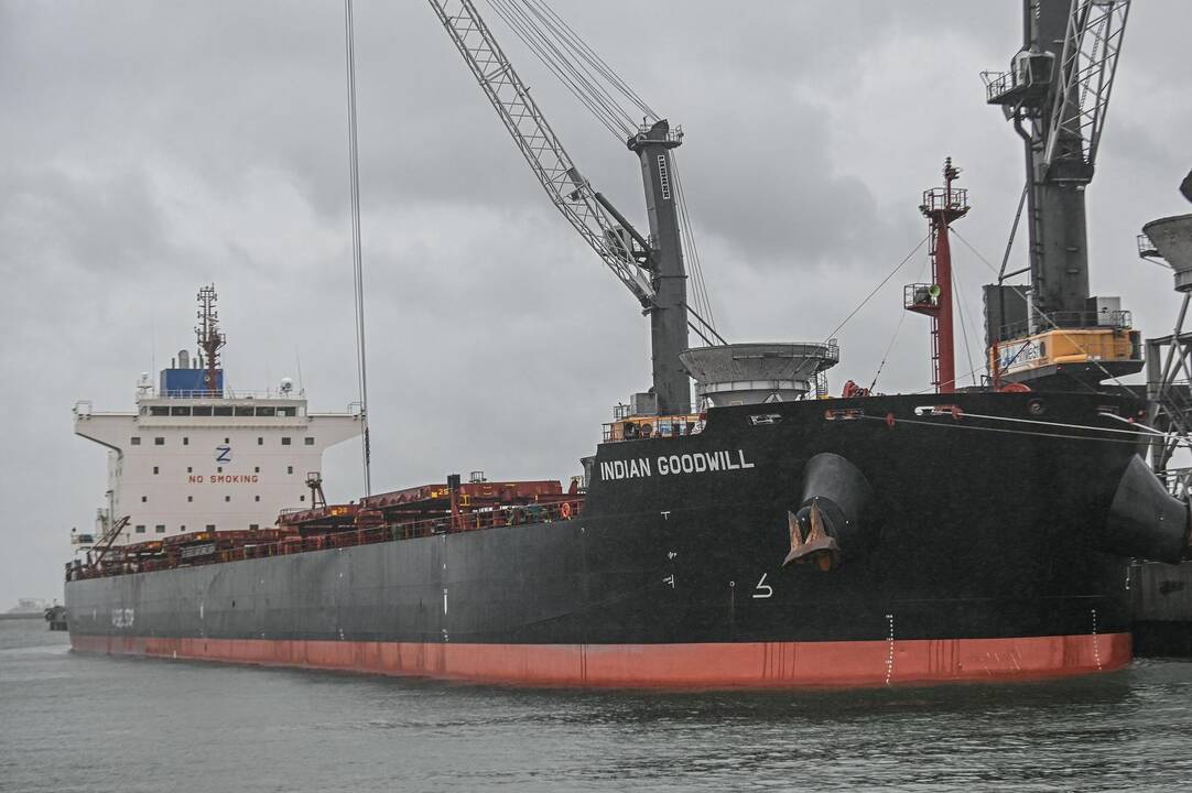 Ginkluoti Lenkijos pasieniečiai šturmavo „Greenpeace“ laivą