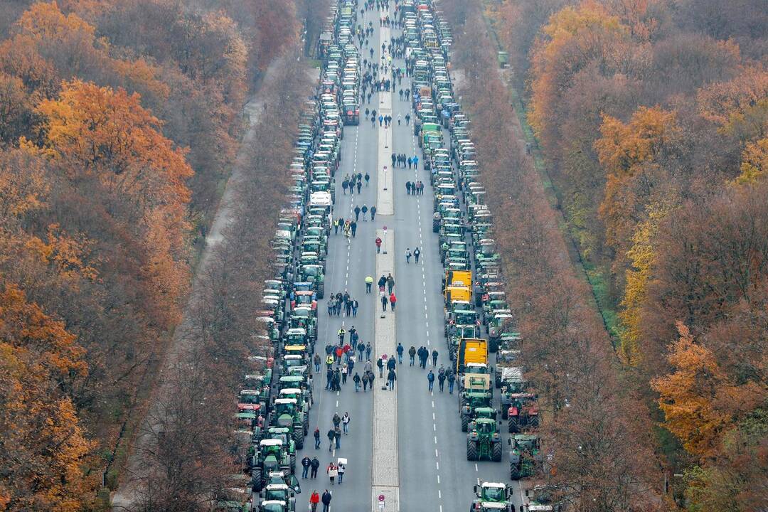 Ūkininkų protestas Berlyne