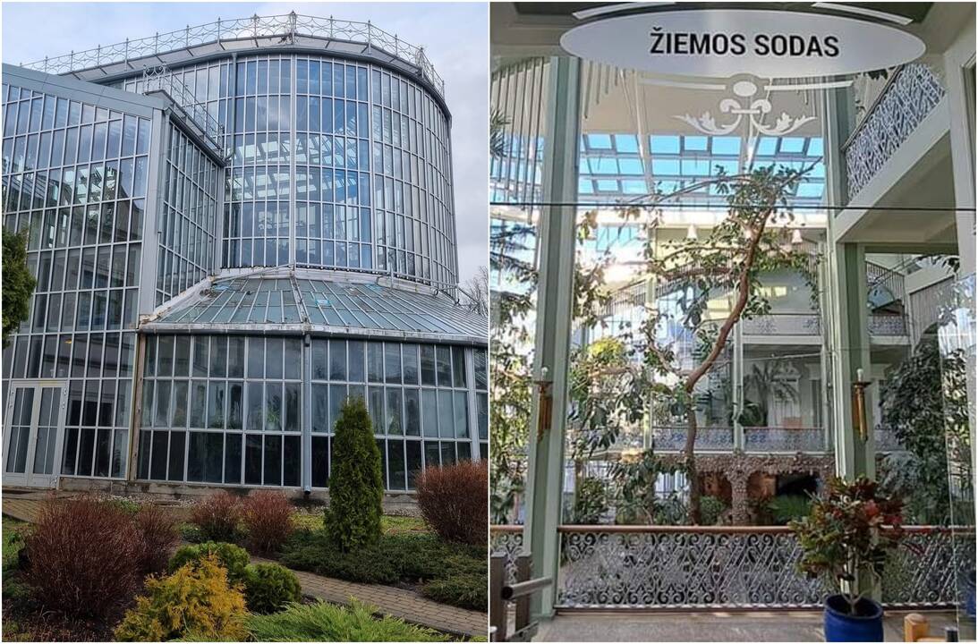 Pokyčiai: Kretingos muziejuje atnaujintas žiemos sodas lankytojų lauks nuo birželio, o kavinė pradės veikti jau gegužę.