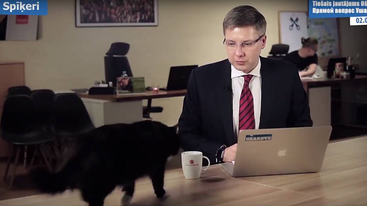 Tiesioginės transliacijos metu katė Rygos merui iškrėtė kuriozą
