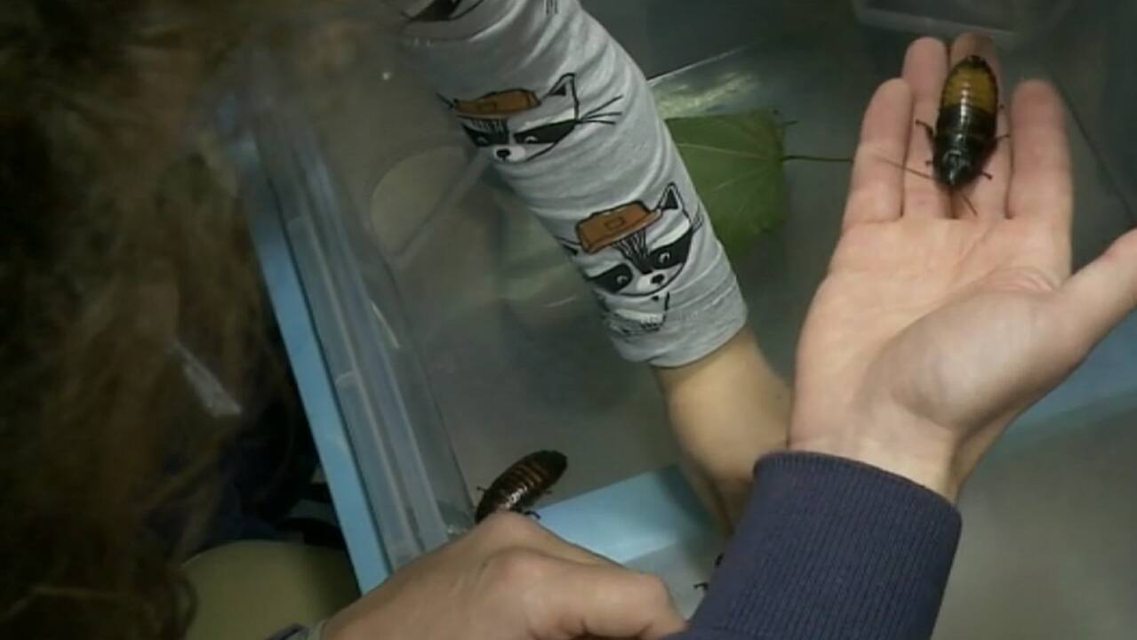 Vilniuje duris atvėrė laboratorijos ikimokyklinukams