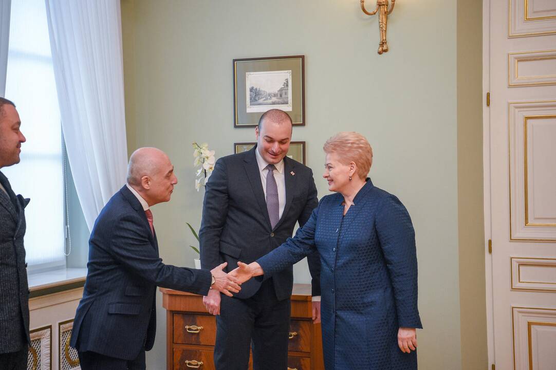 Lietuvos vadovai susitiko su Sakartvelo premjeru