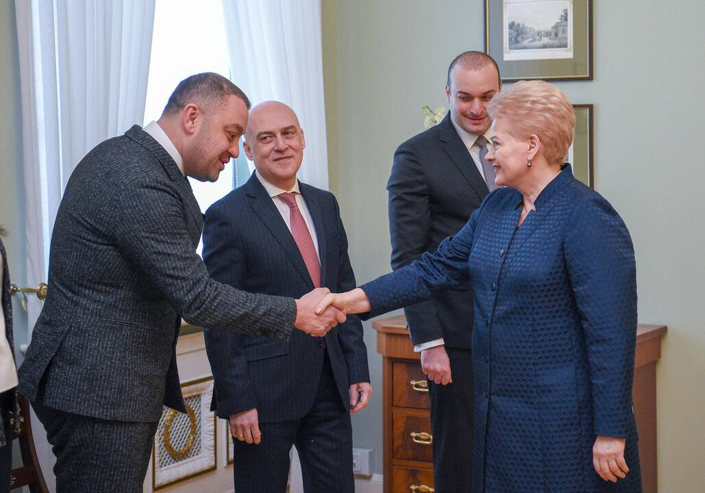Lietuvos vadovai susitiko su Sakartvelo premjeru