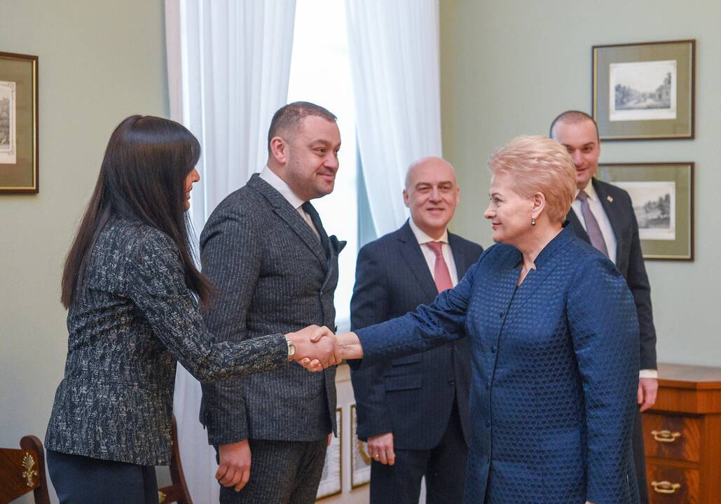 Lietuvos vadovai susitiko su Sakartvelo premjeru