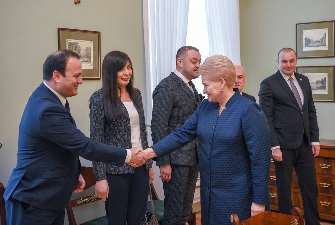 Lietuvos vadovai susitiko su Sakartvelo premjeru