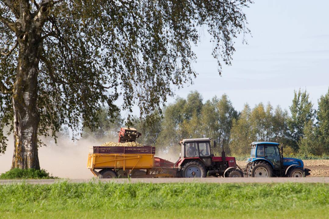 Draudikai ruošiasi žalų bangai nuimant derlių