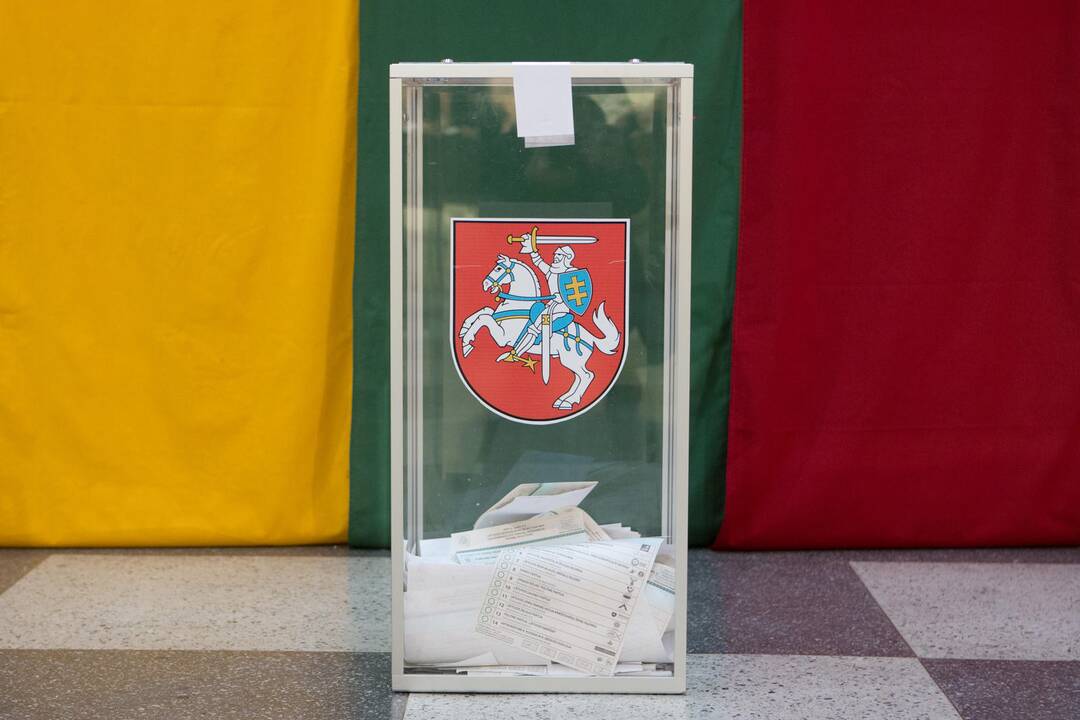Referendumas – kartu su prezidento rinkimais: pasiruošti jau vėlu?