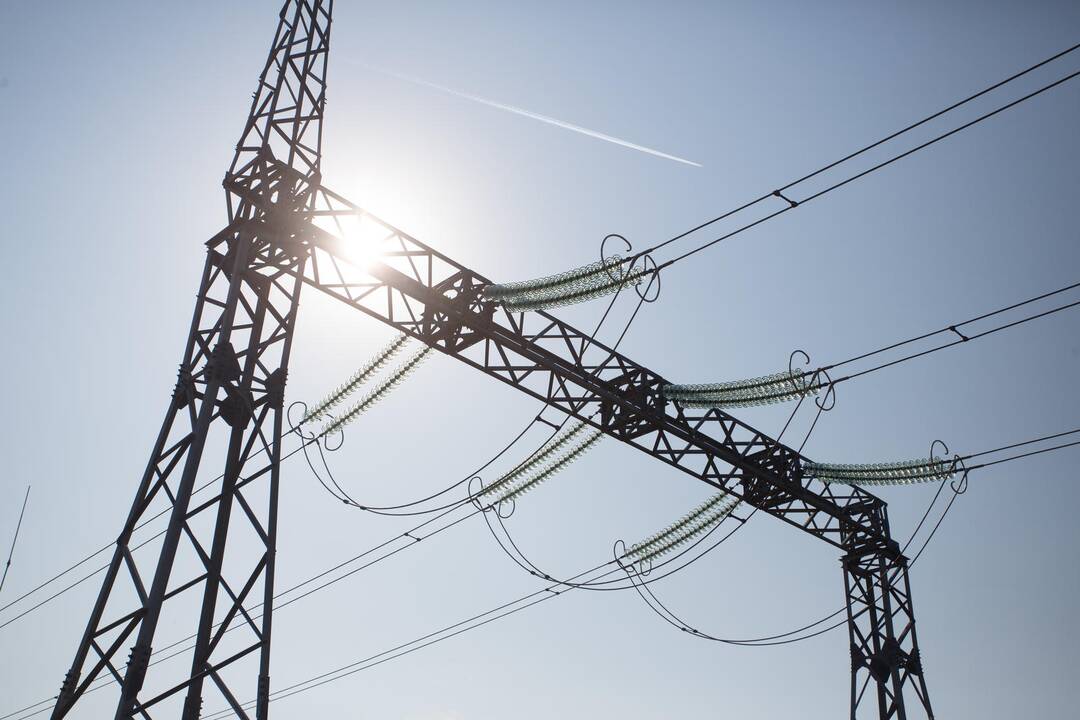Lietuvoje stabilias elektros kainas palaikė vietinė gamyba