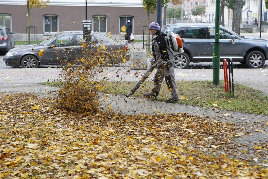 Žada: prižiūrint tvarką mieste, nuo kelių valomi pabirę lapai.