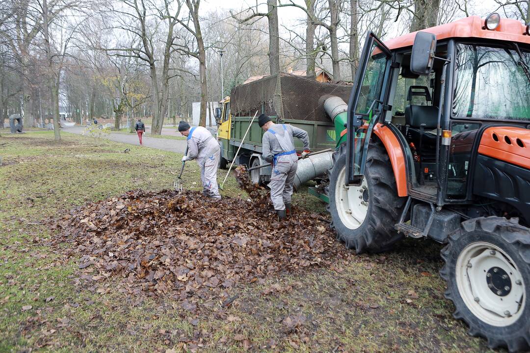 Planas: besibaigiant žiemai, ruošiamasi Klaipėdos parkų teritorijų tvarkymui.