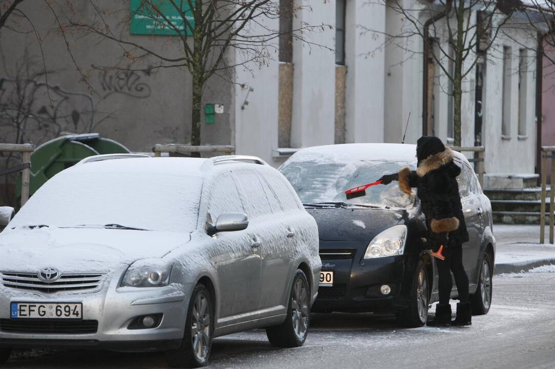 Dešimt lenktynininko V. Švedo patarimų žiemą