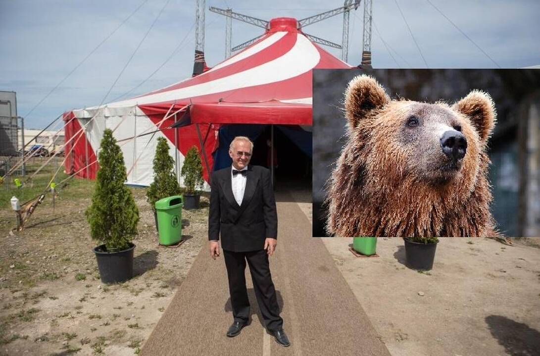 Nikolajus Zobovas