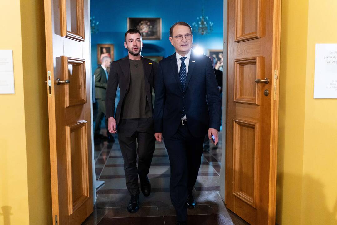 D. Žalimo spaudos konferencija po rinkimų