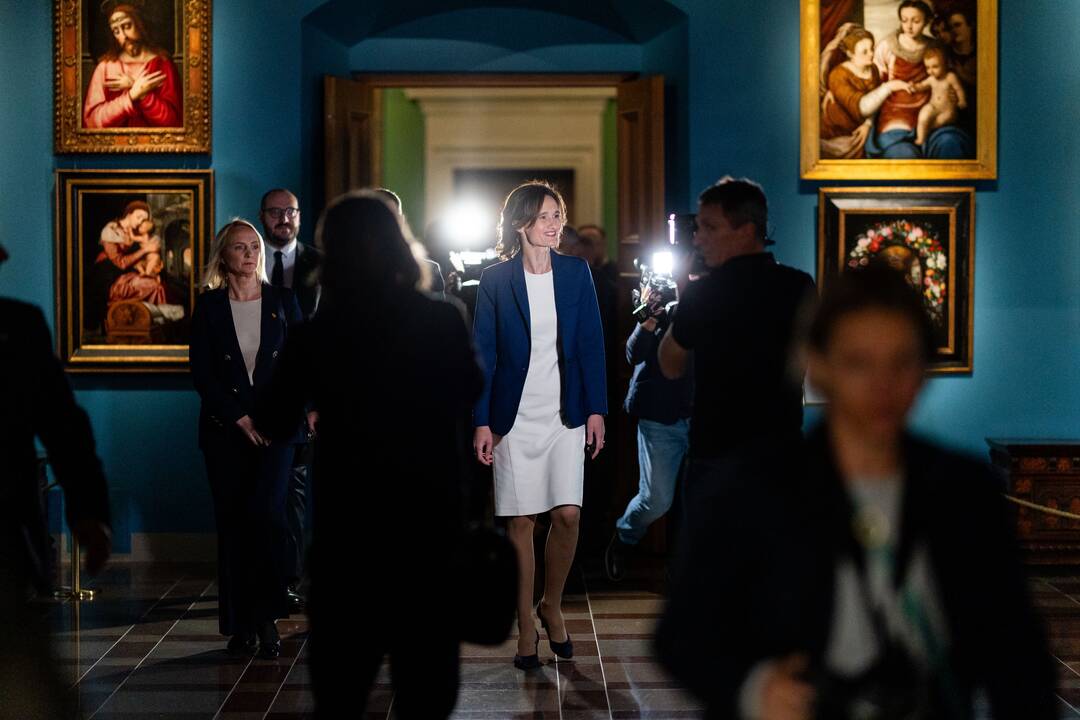 2024-ųjų Seimo rinkimai: V. Čmilytės-Nielsen spaudos konferencija