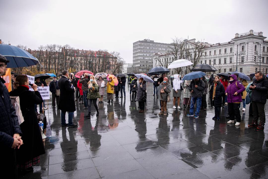 Mitingas už šnipinėjimą nuteistam A. Paleckui palaikyti