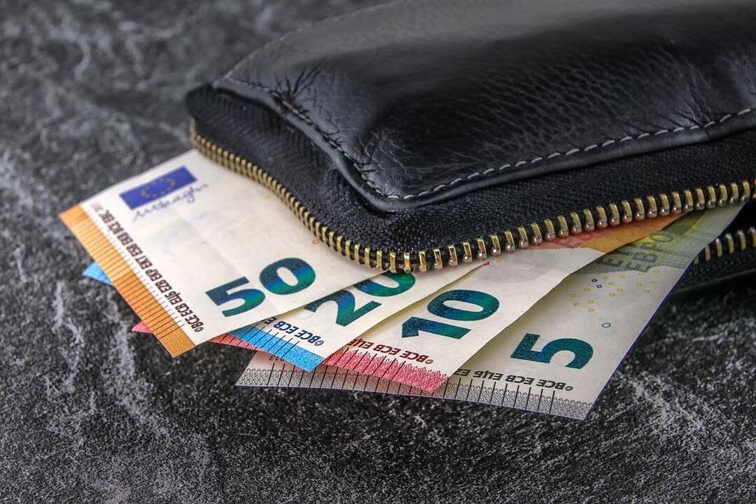 „Valstiečiai“ siūlo 32 proc. GPM tarifą, lėčiau mažinti NPD