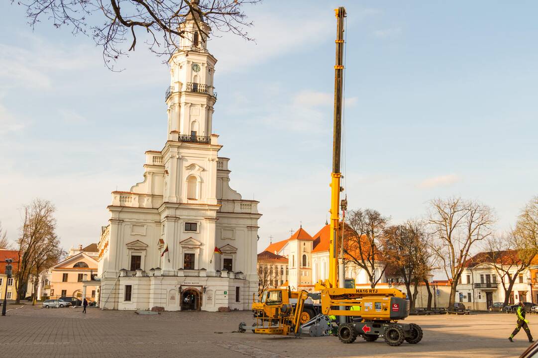 Pradėta montuoti Kauno Kalėdų eglė