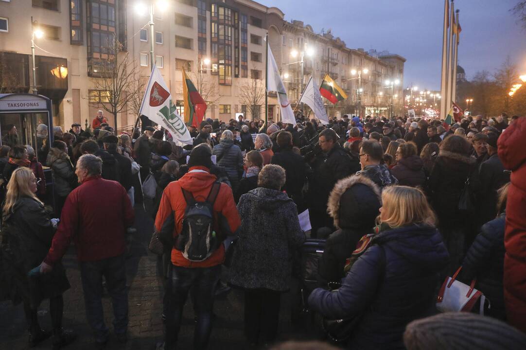 Mitingas prie Seimo dėl vaikų paėmimo iš šeimų