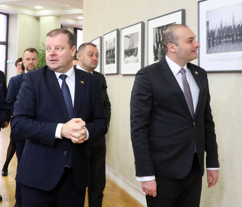 Lietuvos vadovai susitiko su Sakartvelo premjeru