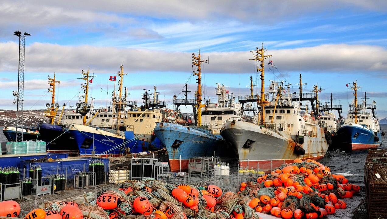 Panašumas: Rusijos žvejų laivai, kurie panašūs į Baltijos jūros žvejų laivus, Norvegijos Kirkeneso uoste.