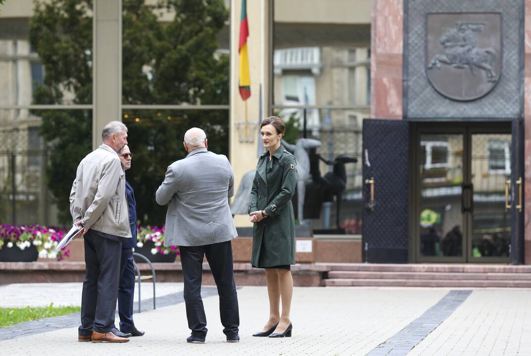 Seimo pirmininkė susitiko su Šeimų sąjūdžio aktyvistais