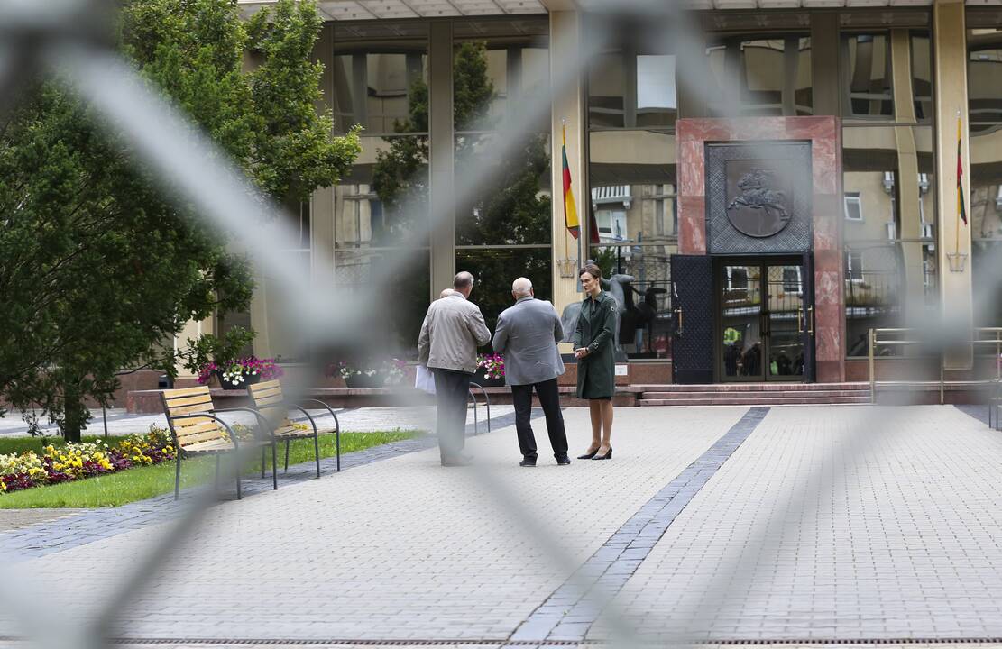Seimo pirmininkė susitiko su Šeimų sąjūdžio aktyvistais