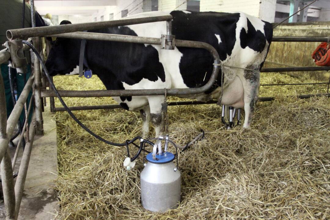 Pramonė siekia užtikrinti nenutrūkstamą gyventojų aprūpinimą maisto produktais