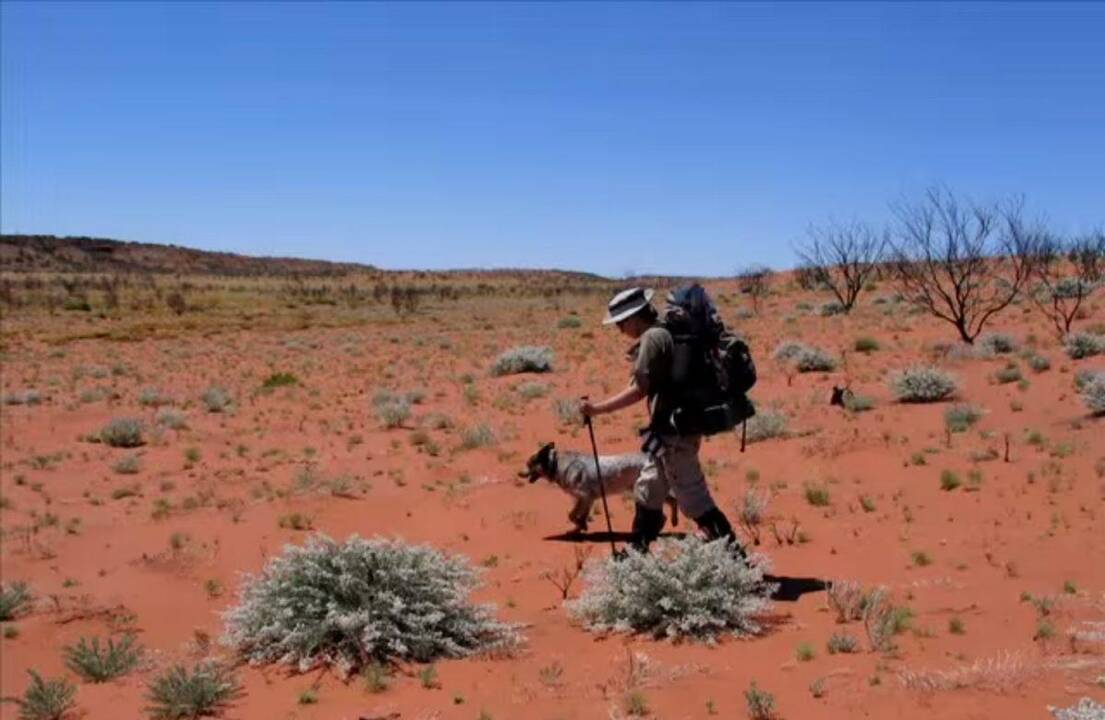 Sa­rah Mar­quis