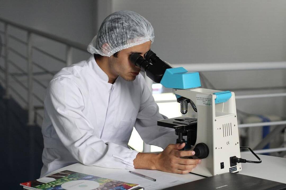 Inovatyvių idėjų konkursas: nuo pleistrų skausmui mažinti iki auginamos mėsos