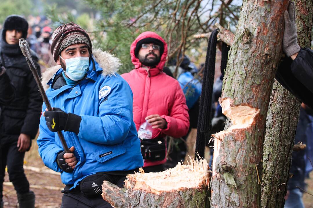 Nelegalūs migrantai Lenkijos ir Baltarusijos pasienyje