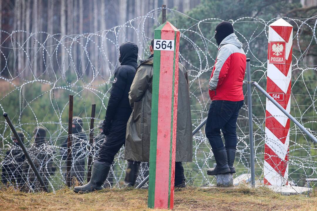 Nelegalūs migrantai Lenkijos ir Baltarusijos pasienyje