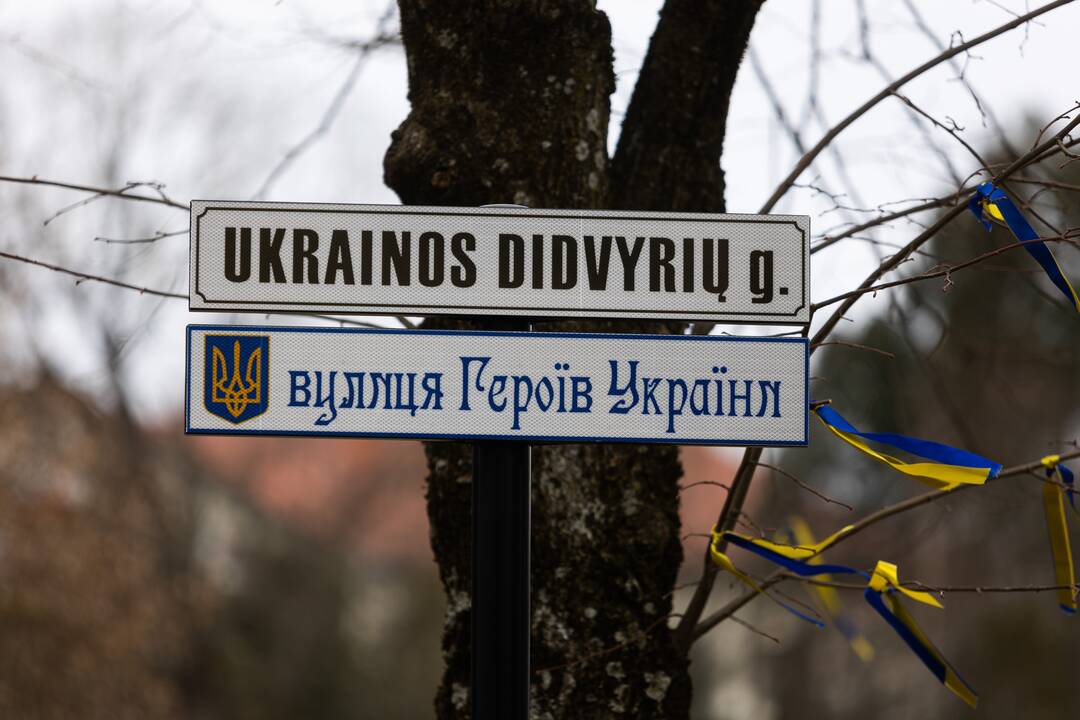 Rusijos opozicionierių mitingas Vilniuje