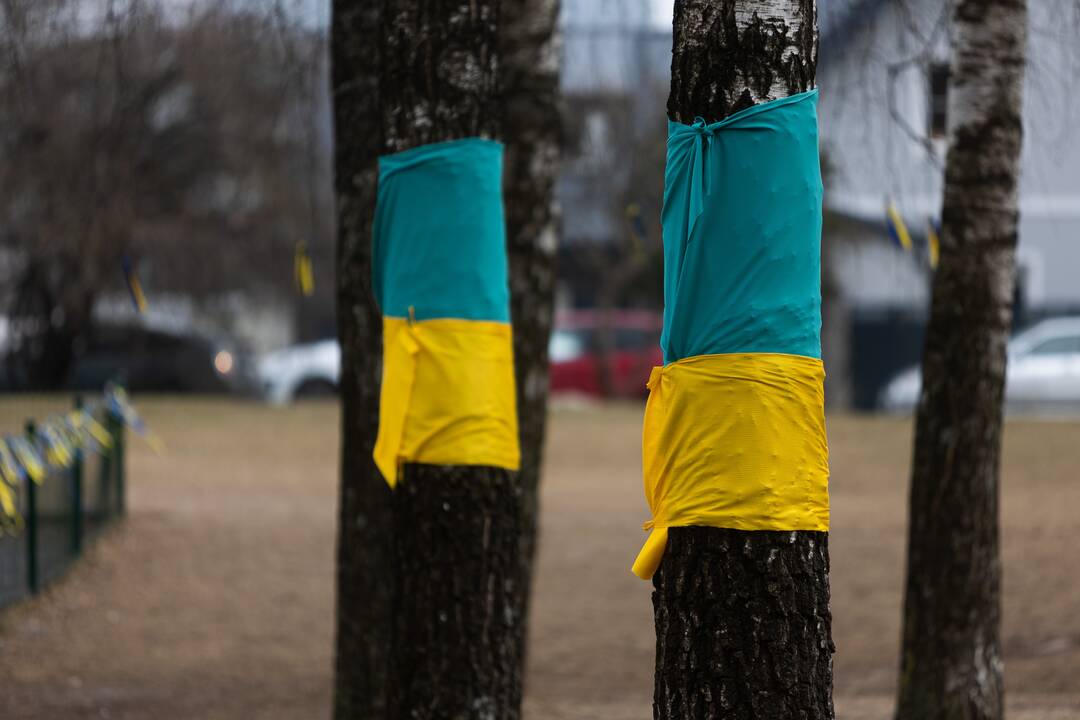 Rusijos opozicionierių mitingas Vilniuje