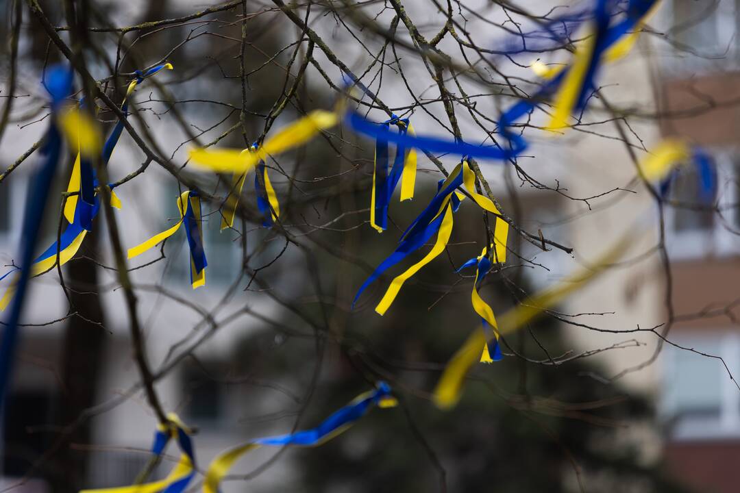 Rusijos opozicionierių mitingas Vilniuje