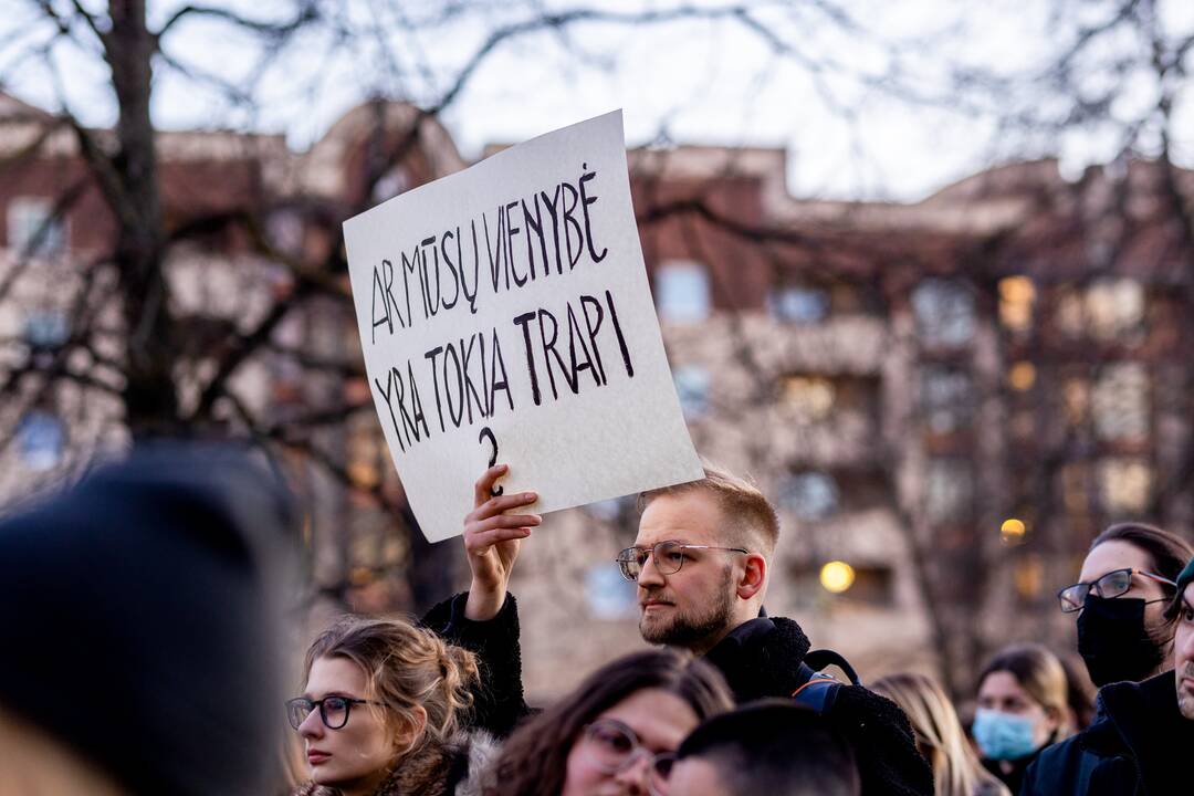 Mitingas „Už partnerystę ir lygybę visiems Lietuvoje!“